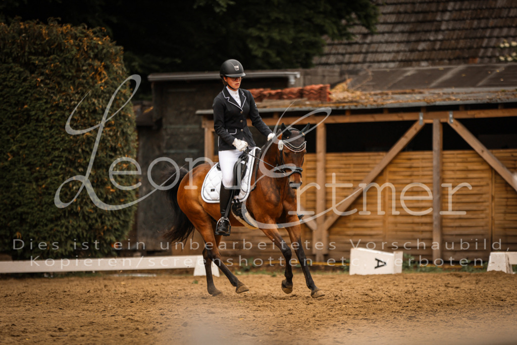 DoDrE00483 | Leoni Ertmer Photography - Realisiert mit Pictrs.com