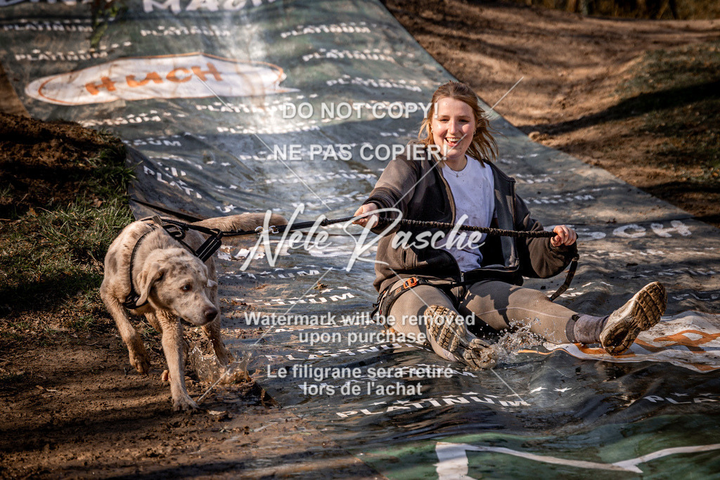 nelerasche_CCNL26_So0945-1030_352 | nelerasche
