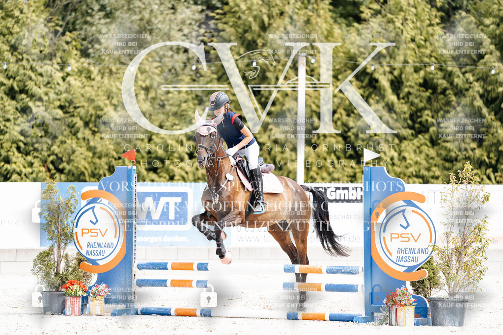 CK906678 | Turnierfotografie Pferdefotografie Trier Rheinland-Pfalz Pferdesport Reitsport Tierfotografie Sportfotografie Pferdevideo Pferdevideografie Equestrianvideography equestrianphotography  - Realisiert mit Pictrs.com