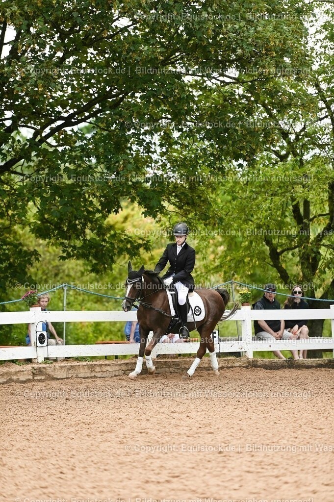 20230716_10-2_Reiter-WB Schritt - Trab - Galopp_0073 | equistock