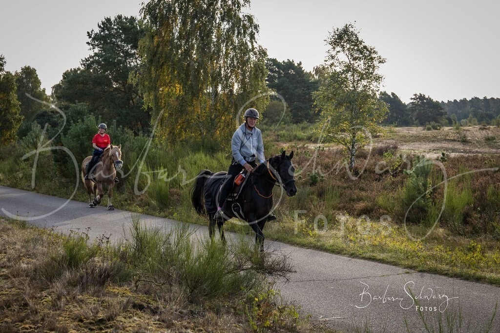 DdLH-TrotBy_2025-09-20_39 | Fotografie, Veranstaltungs-Fotografie, Pferde-Fotografie, Landschafts-Fotografie, Reise-Fotografie - Realisiert mit Pictrs.com
