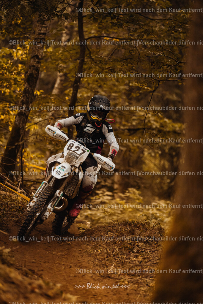 E68A5288 | blick_win_kel