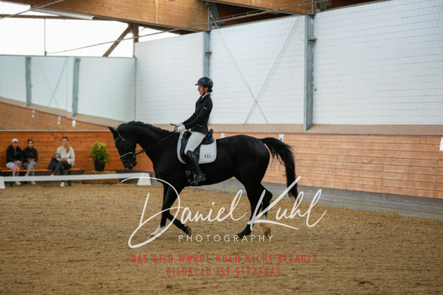 _62_6665 | Turniersportfotografie; Pferdefotografie; Dressurfotografie