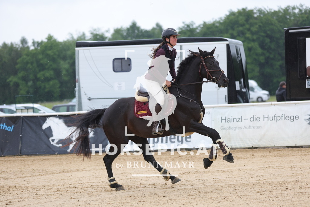 0P6A2573 | Willkommen bei Brunnmayr - Design & Fotografie – Ihrem Spezialisten für Reitturniere und Pferdeveranstaltungen in Oberösterreich, Salzburg und Bayern! Seit über 17 Jahren sind wir leidenschaftlich dabei.