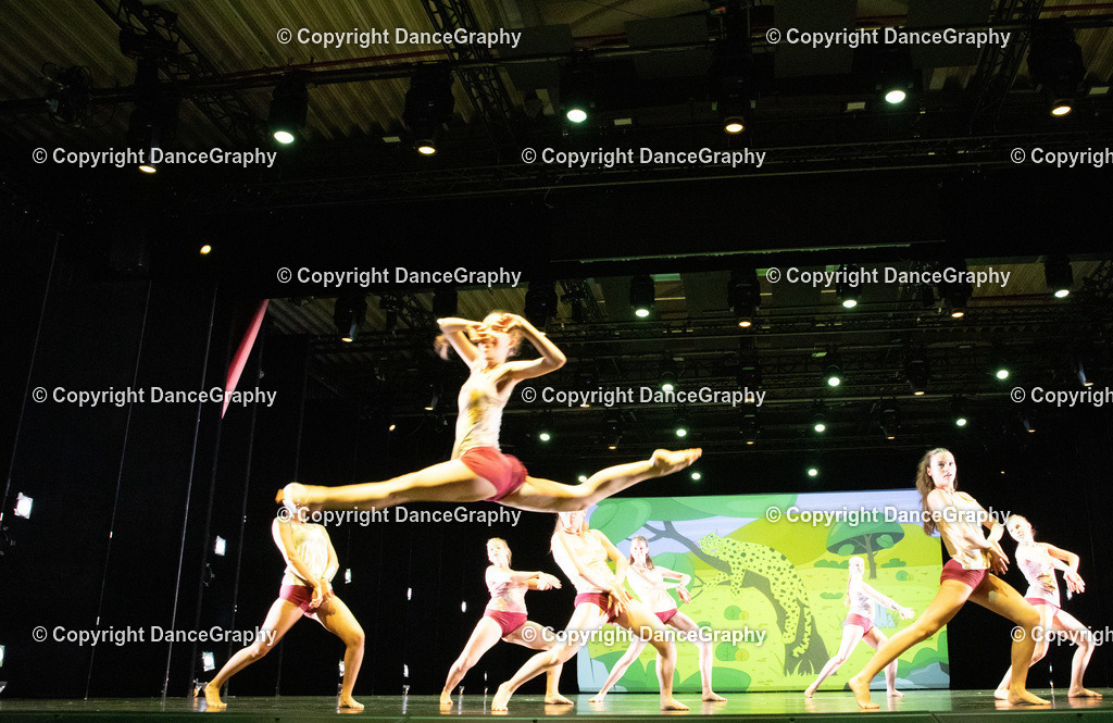 GPHY6358 | DanceGraphy - Realisiert mit Pictrs.com