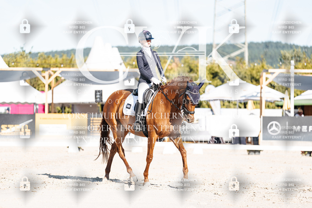 CK907356 | Turnierfotografie Pferdefotografie Trier Rheinland-Pfalz Pferdesport Reitsport Tierfotografie Sportfotografie Pferdevideo Pferdevideografie Equestrianvideography equestrianphotography  - Realisiert mit Pictrs.com