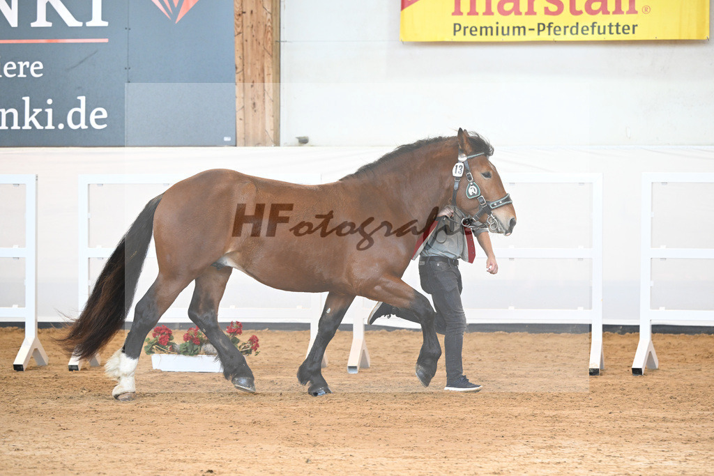 Kat-Nr. 13 v. Ratz Fatz_Seifert_2230112 | hf-fotografie - Realisiert mit Pictrs.com