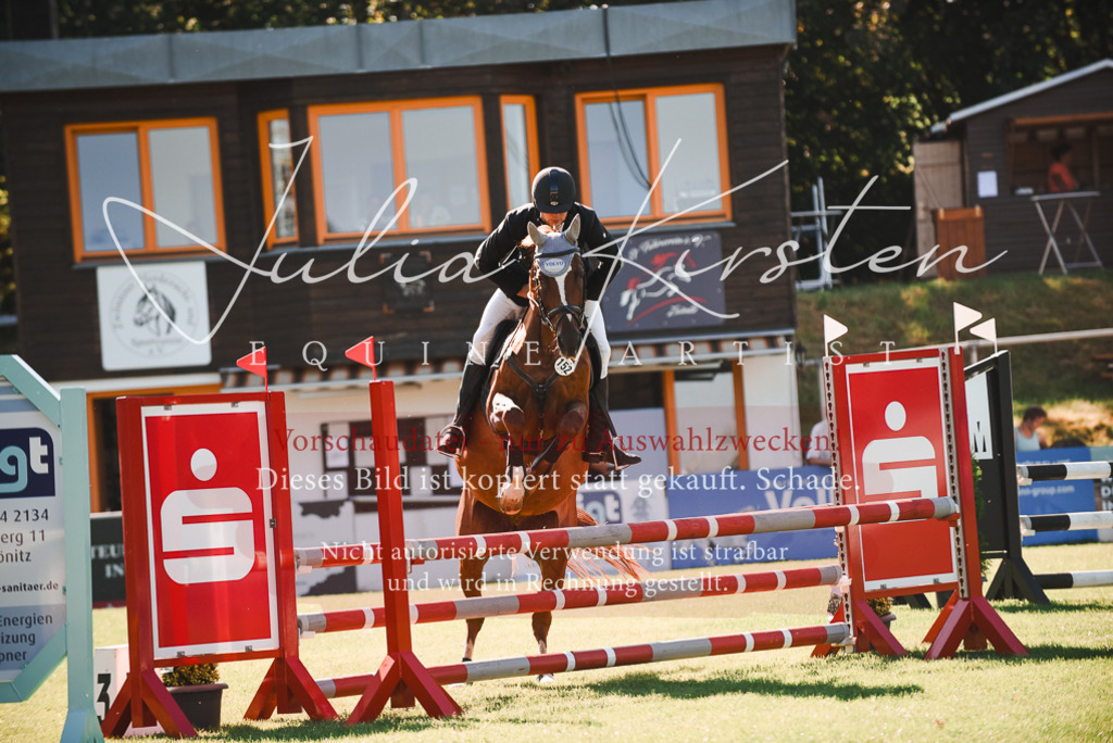 DSC_2413 | Pferde- und Turnierfotografie in Westsachsen. Pferdeportraits, Auftragszeichnungen und intuitive Kunst.