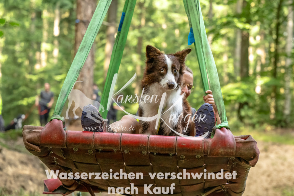 1351_ZZ93862-Bearbeitet | kk-dogfotos