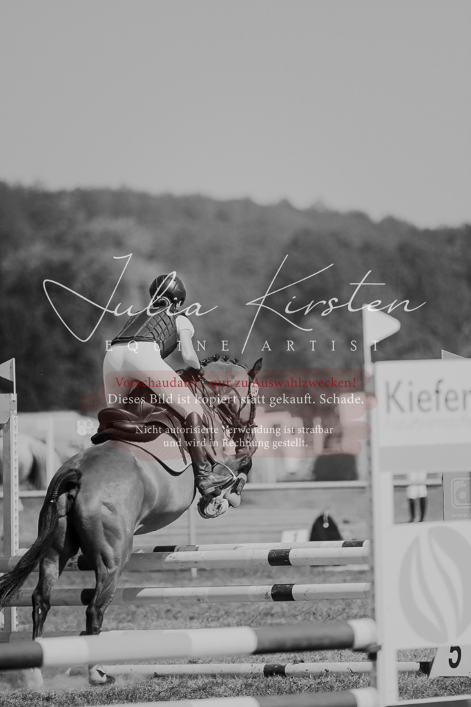 DSC_9972 | Pferde- und Turnierfotografie in Westsachsen. Pferdeportraits, Auftragszeichnungen und intuitive Kunst.