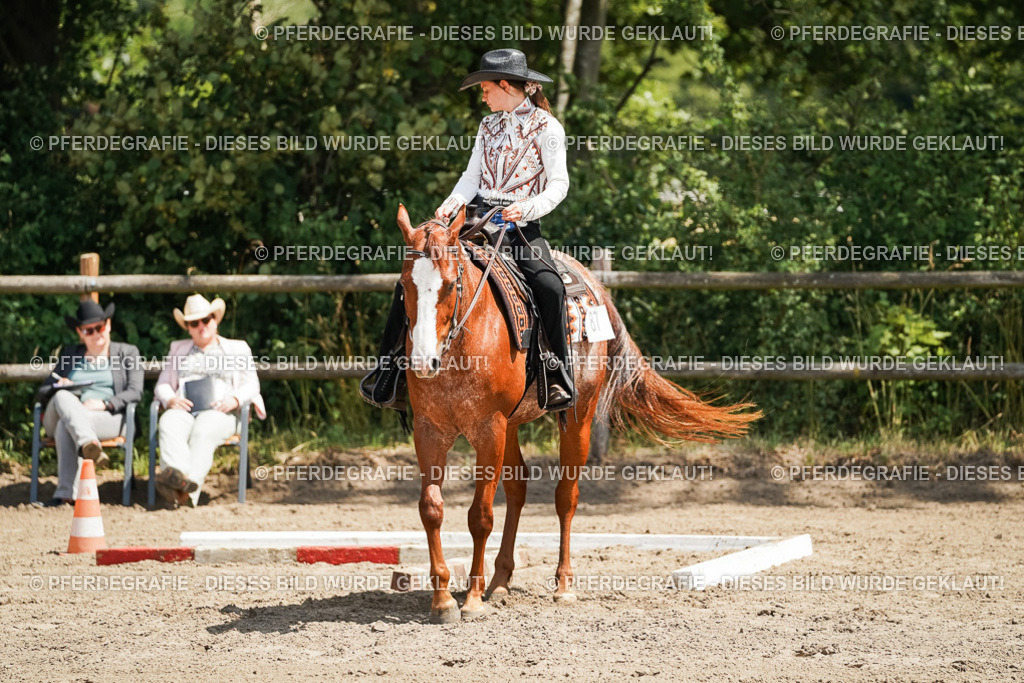 DSC07760 | Pferdegrafie