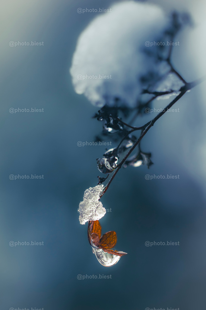 Ice Drop | Ein kleiner Tropfen vom schmilzenden Eis. - Realisiert mit Pictrs.com