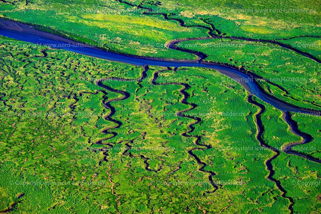 St.Peter-Ording_Salzwiesen_ELS_8775300523 | SANKT PETER-ORDING 30.05.2023 Salzwiesen Landschaft an der Nordsee - Küste im Ortsteil Sankt Peter-Ording Pfahlbauten in Sankt Peter-Ording im Bundesland Schleswig-Holstein. // Salt marsh landscape on the North Sea - coast in the district Sankt Peter-Ording Pfahlbauten in Sankt Peter-Ording in the state Schleswig-Holstein. Foto: Martin Elsen