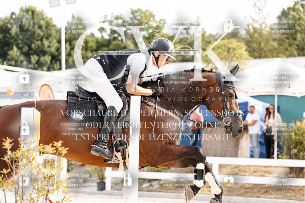 CK902520 | Turnierfotografie Pferdefotografie Trier Rheinland-Pfalz Pferdesport Reitsport Tierfotografie Sportfotografie Pferdevideo Pferdevideografie Equestrianvideography equestrianphotography  - Realisiert mit Pictrs.com