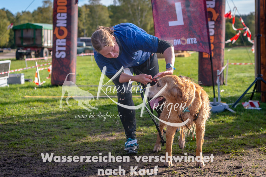 1013STR_2430 | kk-dogfotos