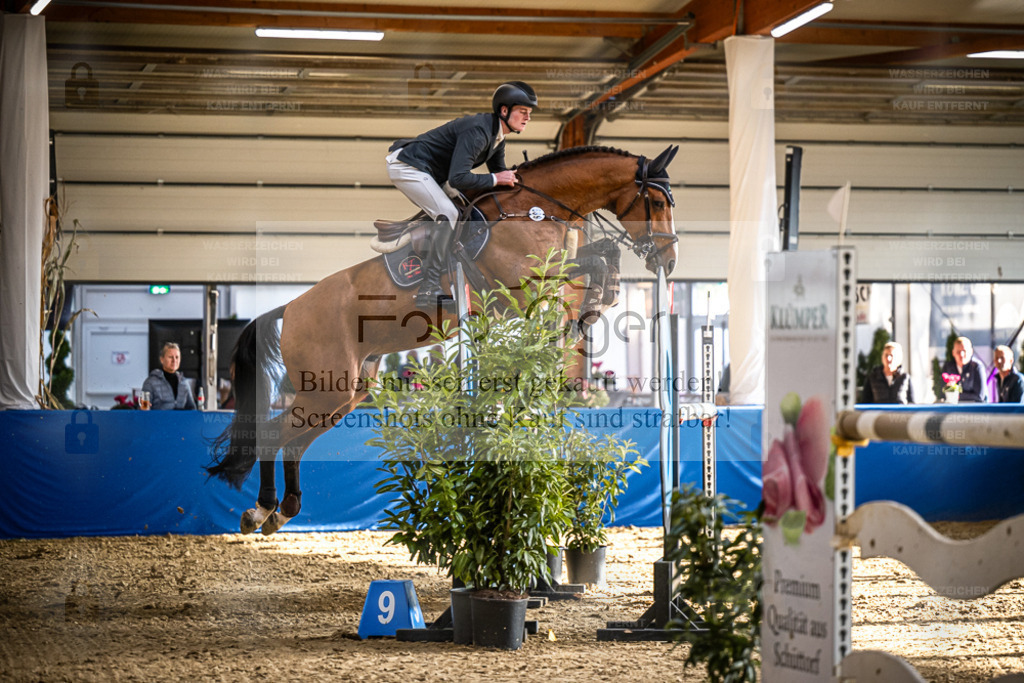 DOS_2383 | Entdecke hochwertige Reitturnierfotos von Foto Oger. Professionell, emotional und authentisch – jetzt Lieblingsmomente im Shop bestellen. - Realisiert mit Pictrs.com