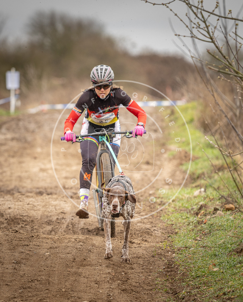 DV3A1250 | Hundefotografie, Tierfotograf, Pfotenfotografie, Fotoshooting Hund, Hunde Portrait, Hundesport, Hundeportraits, Heideshooting, Hunde, Sportfotograf, Hundefotograf, Turnierhundsport, THS,  - Realisiert mit Pictrs.com