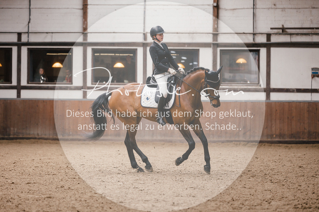 3I6A7223 | Stimmungsvolle Portraits und Reitsportfotografie im Ruhrgebiet und im Münsterland.

Pferdefotografie, Hundefotografie, Tierfotografie, Reportagen, Portraits von Tier und Mensch, Turnierfotografie in Bochum, Recklinghausen, Marl, Haltern am See, Dülmen.. - Realisiert mit Pictrs.com