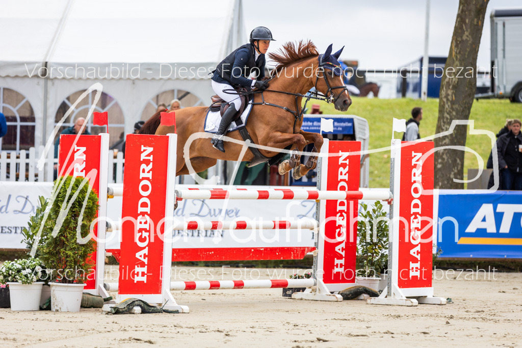 BHO-2PhSpr-M-5-2023 | MomenTaufnahmen Pferdesportfotos