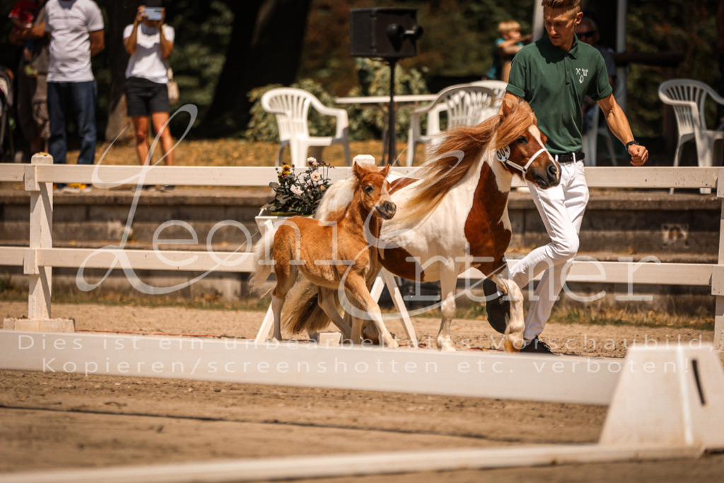 01.DoKR00092 | Leoni Ertmer Photography - Realisiert mit Pictrs.com