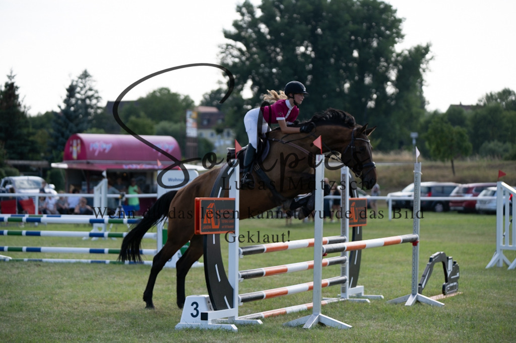 A7V00788 | Pferdefotograf