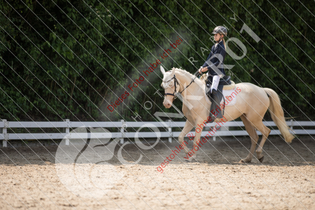 IMG_3813 | Sport-, Event- und Tierfotos in Profiqualität. Einfach auswählen, bestellen und herunterladen. Dein Moment – perfekt festgehalten.