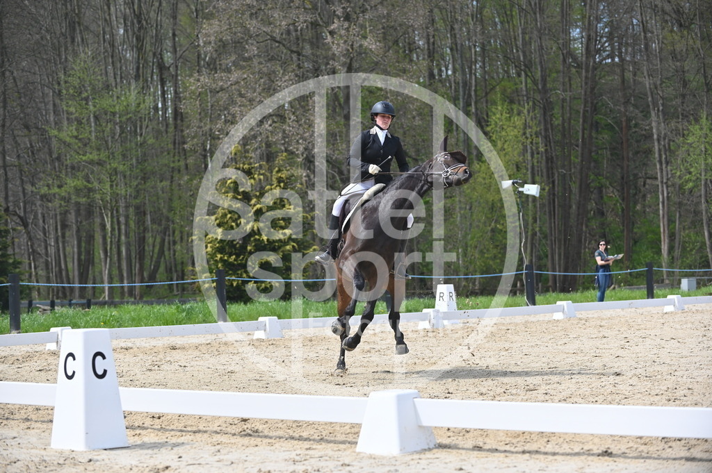 DSC_3144 | sattelsport - Realisiert mit Pictrs.com