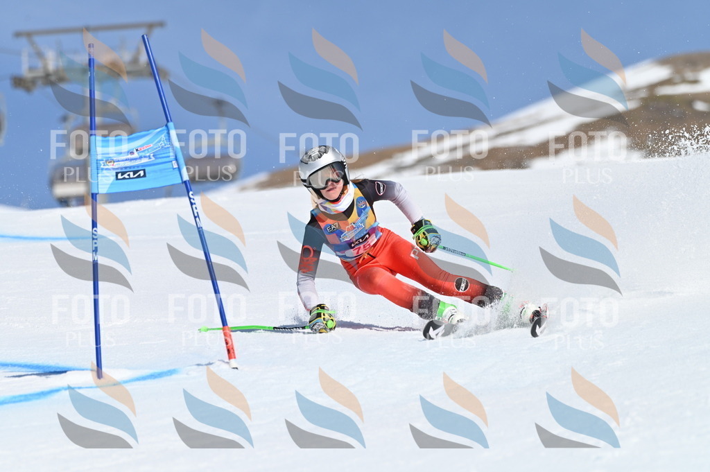 BGV_8995 | holidayphoto