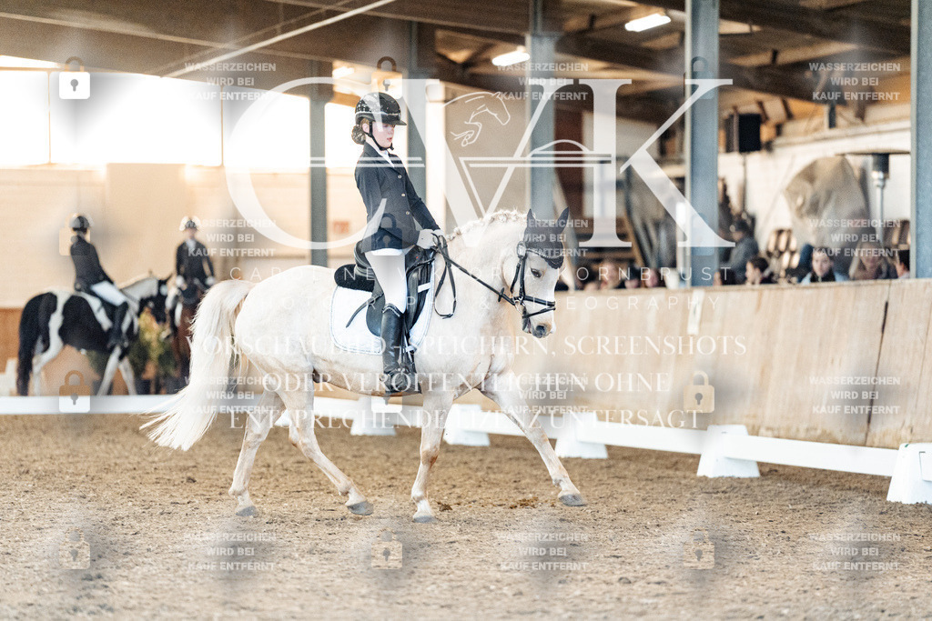 CK907496 | Turnierfotografie Pferdefotografie Trier Rheinland-Pfalz Pferdesport Reitsport Tierfotografie Sportfotografie Pferdevideo Pferdevideografie Equestrianvideography equestrianphotography  - Realisiert mit Pictrs.com