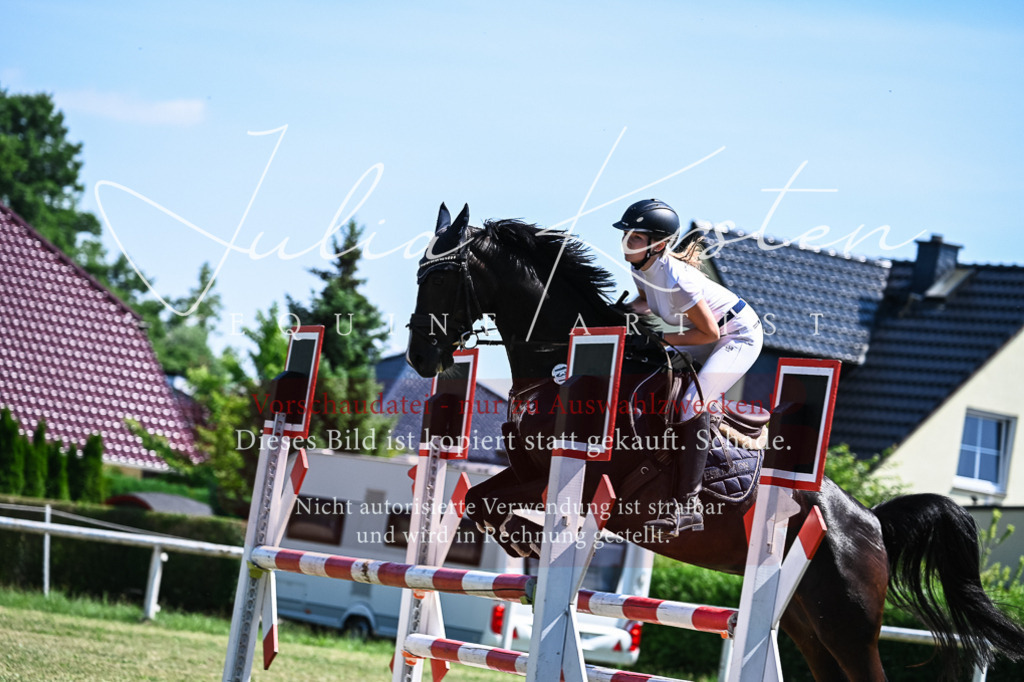 DSC_1027 | Pferde- und Turnierfotografie in Westsachsen. Pferdeportraits, Auftragszeichnungen und intuitive Kunst.