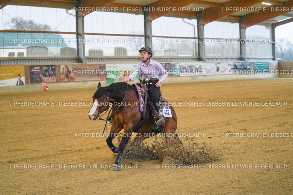 DSC09428 | Pferdegrafie