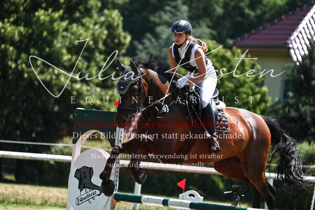 DSC_0224 | Pferde- und Turnierfotografie in Westsachsen. Pferdeportraits, Auftragszeichnungen und intuitive Kunst.