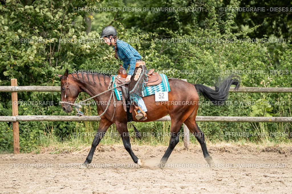 DSC01495 | Pferdegrafie