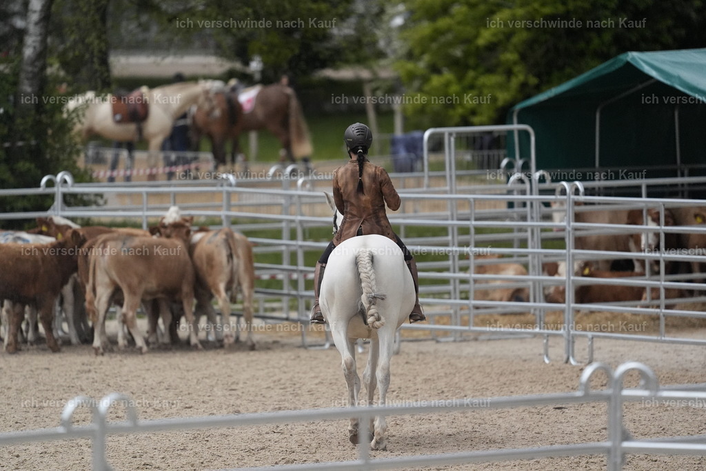 PI26_COW_Stoibphotography_DSC6503.JPG | working equitationturnier fotograf videograf stoibphotography marixx film working equitation deutschland reitsport turnierfotografie eventfotografie equestrian events