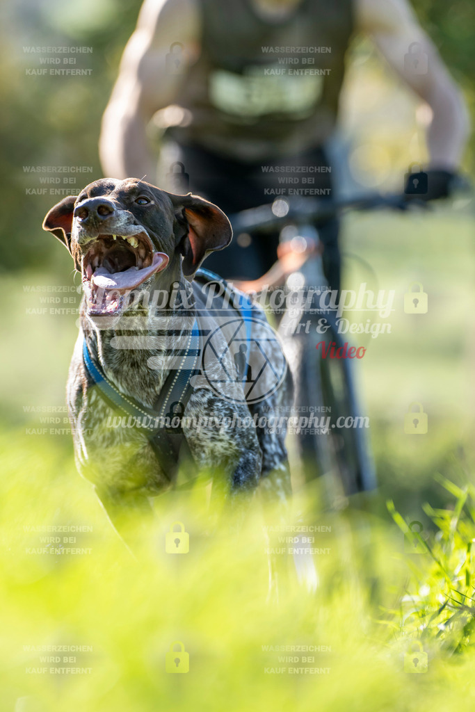 MompixPhotography_20TSB_E3_DS1-3 | PayLife