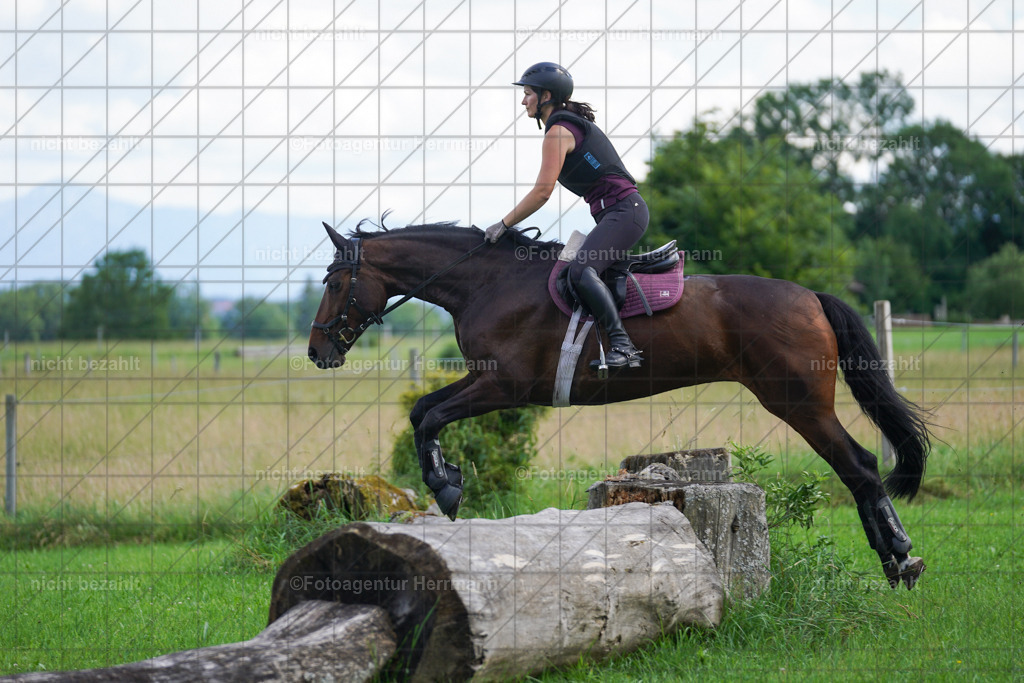 20240622-FAH07707 | Turnierfotografen Bayern, Reitsportbilder aus dem Geländekurs mit Felix Etzel auf dem Gut Waitzacker 2024