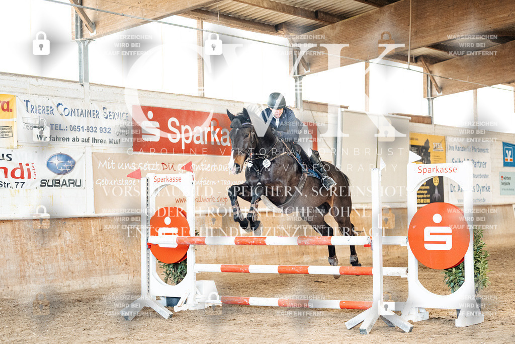 CK905112 | Turnierfotografie Pferdefotografie Trier Rheinland-Pfalz Pferdesport Reitsport Tierfotografie Sportfotografie Pferdevideo Pferdevideografie Equestrianvideography equestrianphotography  - Realisiert mit Pictrs.com