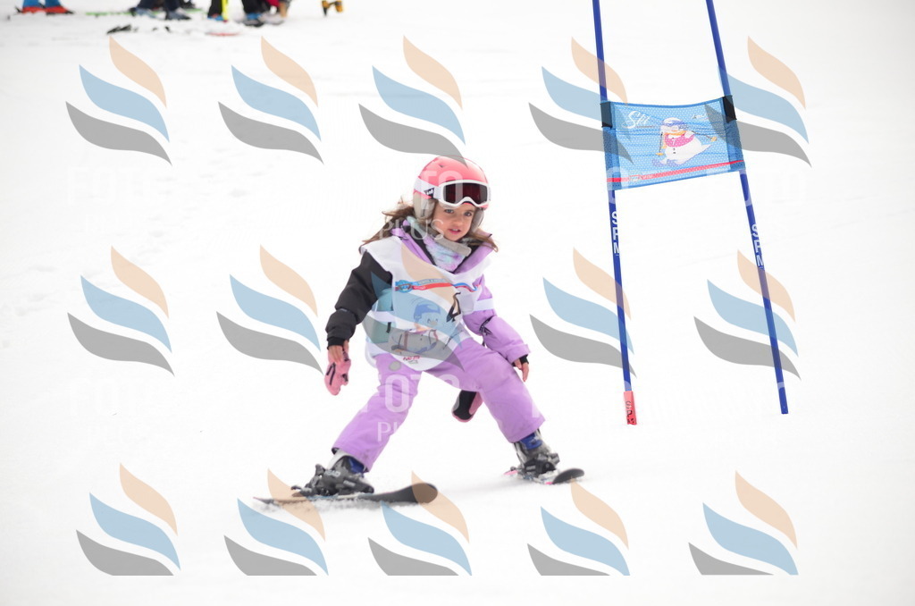 B9126 | holidayphoto