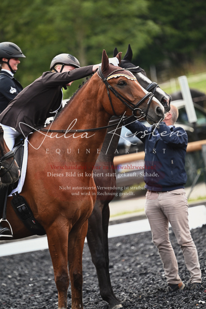 DSC_2790 | Pferde- und Turnierfotografie in Westsachsen. Pferdeportraits, Auftragszeichnungen und intuitive Kunst.