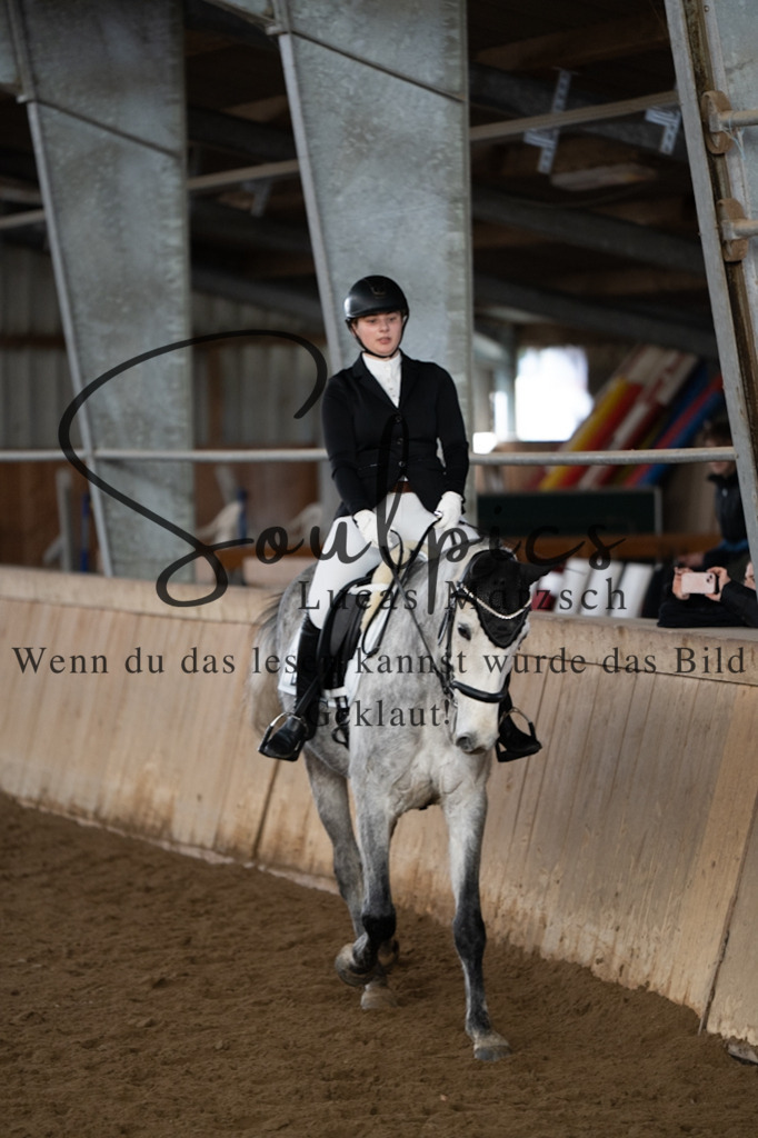 A7V04819 | Pferdefotograf