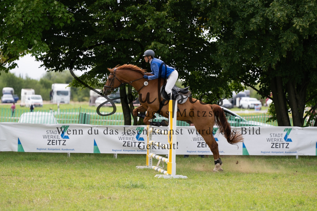 A7V05331 | Pferdefotograf