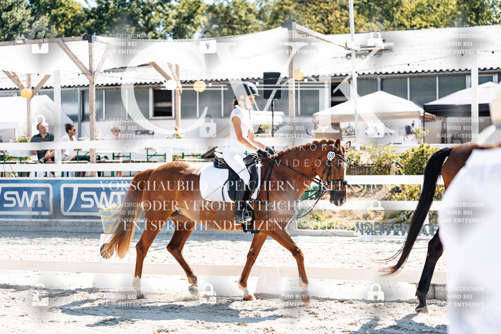 CK902414 | Turnierfotografie Pferdefotografie Trier Rheinland-Pfalz Pferdesport Reitsport Tierfotografie Sportfotografie Pferdevideo Pferdevideografie Equestrianvideography equestrianphotography  - Realisiert mit Pictrs.com