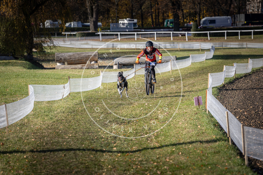 CaniXpix_DV3A4289 | Hundefotografie, Tierfotograf, Pfotenfotografie, Fotoshooting Hund, Hunde Portrait, Hundesport, Hundeportraits, Heideshooting, Hunde, Sportfotograf, Hundefotograf, Turnierhundsport, THS,  - Realisiert mit Pictrs.com