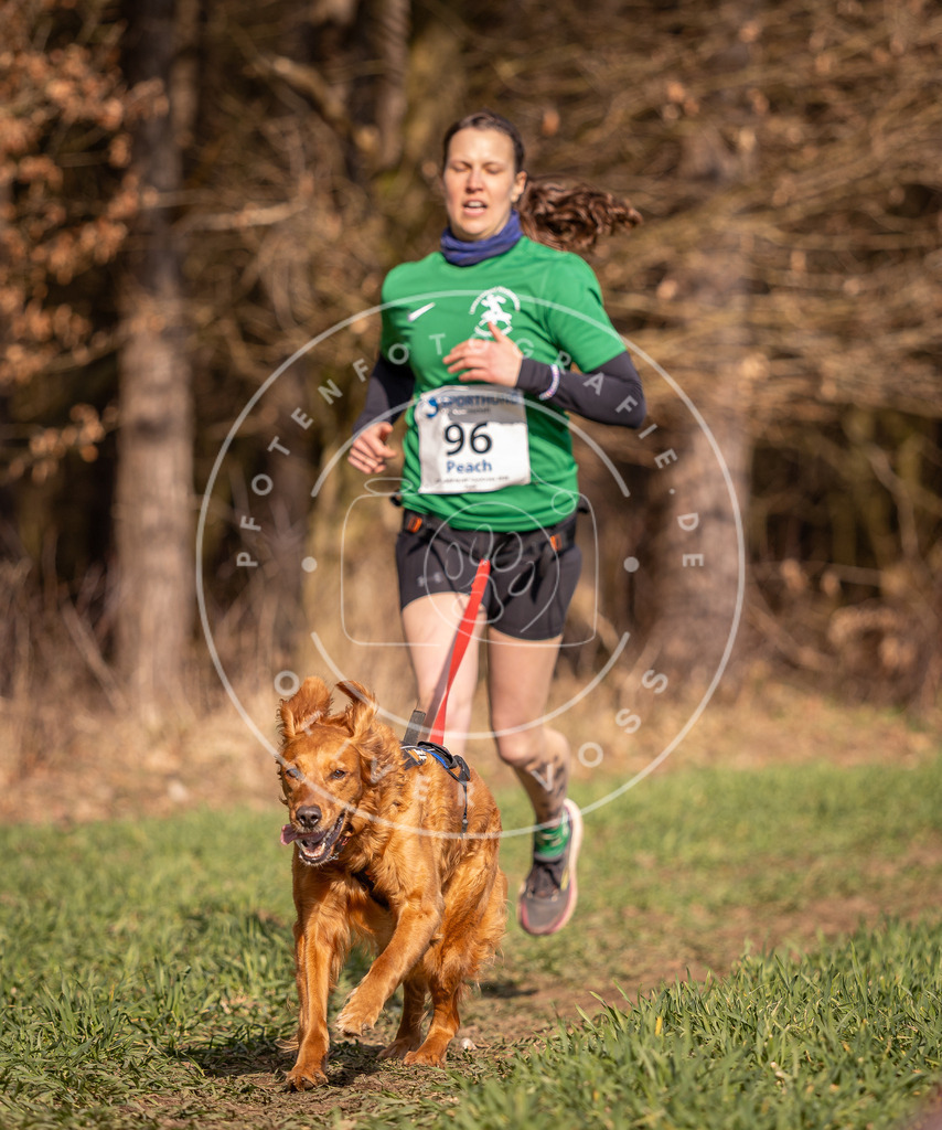 DV3A6281 | Hundefotografie, Tierfotograf, Pfotenfotografie, Fotoshooting Hund, Hunde Portrait, Hundesport, Hundeportraits, Heideshooting, Hunde, Sportfotograf, Hundefotograf, Turnierhundsport, THS,  - Realisiert mit Pictrs.com