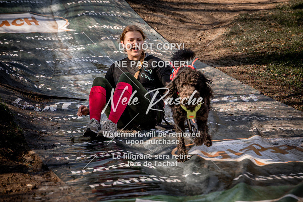 nelerasche_Hulsbeek_So1030-1100_318 | nelerasche