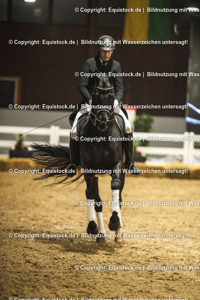 20240302_Hengstvorstellung_Marbach_TOMsPiC_1457 | equistock