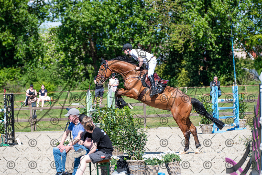 KPT_1334 | andre_photographic