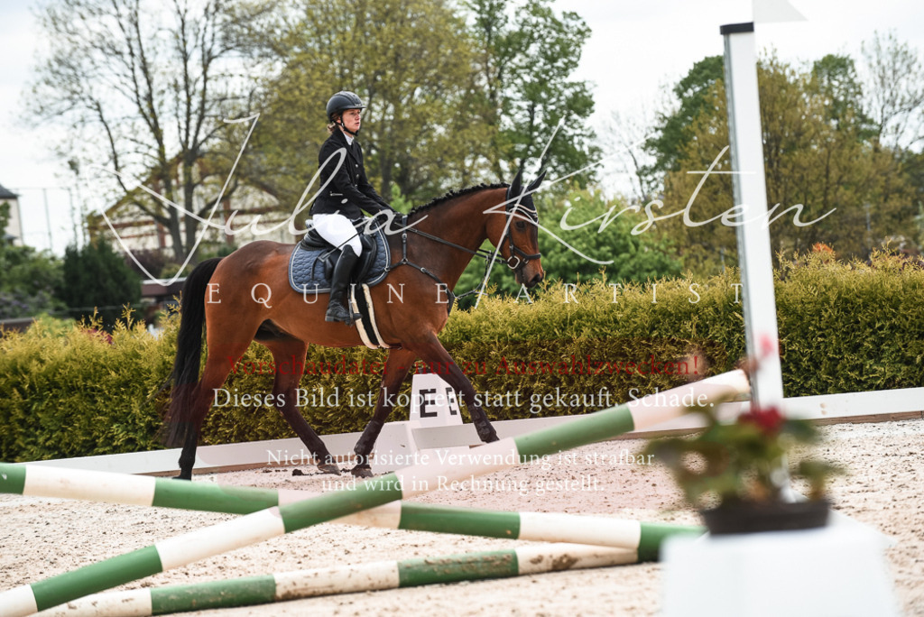 20230518_JK-Röhrsdorf-10-325 | Pferde- und Turnierfotografie in Westsachsen. Pferdeportraits, Auftragszeichnungen und intuitive Kunst.