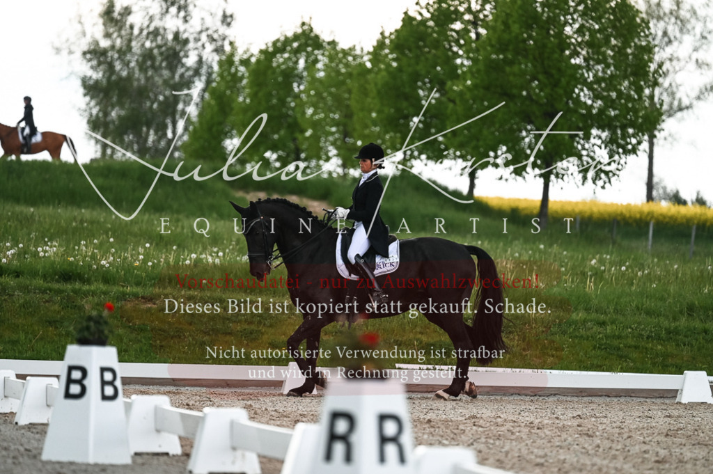 20230514_JK-Röhrsdorf-21-441 | Pferde- und Turnierfotografie in Westsachsen. Pferdeportraits, Auftragszeichnungen und intuitive Kunst.