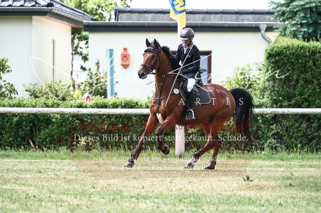 DSC_9144 | Pferde- und Turnierfotografie in Westsachsen. Pferdeportraits, Auftragszeichnungen und intuitive Kunst.